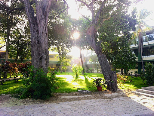 Colegio San Ignacio de Loyola